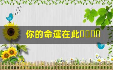 你的命運在此，免費八字算命不容錯過(免費算命八字算命運2021)